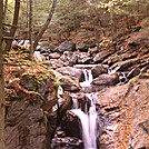 Sages Ravine 2 by Alligator in Trail and Blazes in Massachusetts