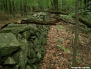 Old field wall by Alligator in Trail & Blazes in New Jersey & New York