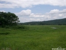 Wallkill River NWR by Alligator in Special Points of Interest