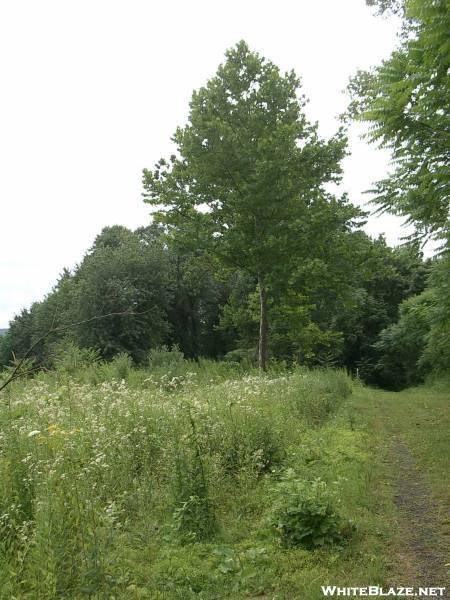 Wallkill River NWR.