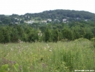 Wildflowers and town view by Alligator in Views in New Jersey & New York