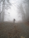 Meatbag On The Approach Trail by Doxie in Springer Mtn Gallery