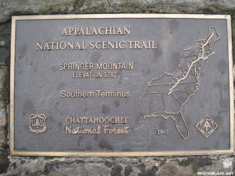 Springer Plaque