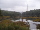 Northville-Placid Trail by eArThworm in Other Trails