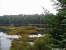 Northville-Placid Trail by eArThworm in Other Trails